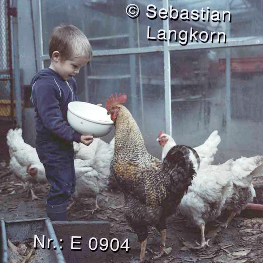 E0904TiereSebastianLangkorn1986Berlin