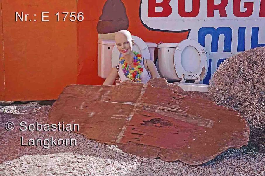E1756USAWestkusteSebastianLangkorn