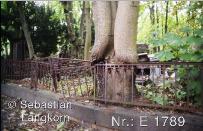 E1789SebastianLangkornBaume