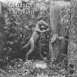 Saurierdorf4116712SebastianLangkorn