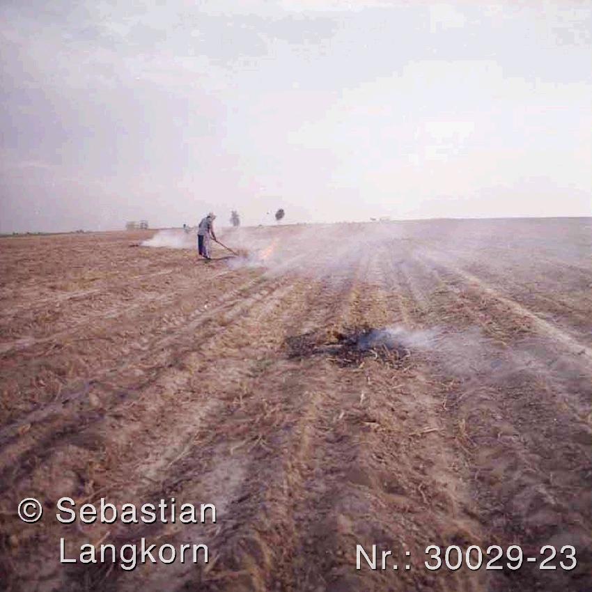 SebastianLangkornMittelpunkt