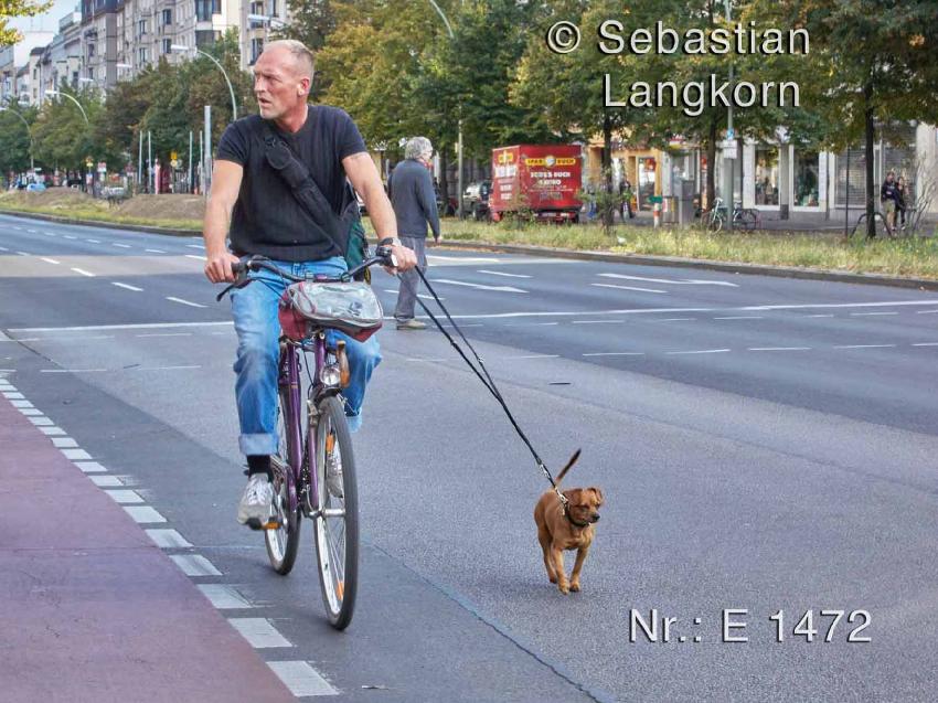 E1472SebastianLangkorn2009Berlin